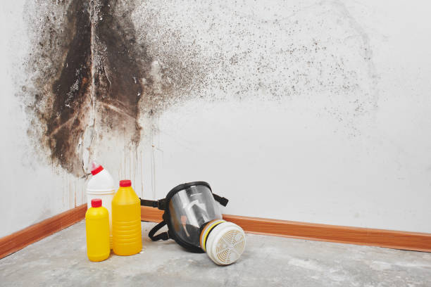 Crawl Space Mold Removal in Rockwell City, IA