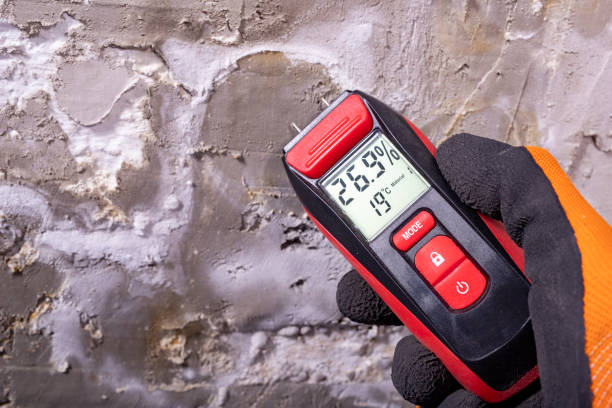 Best Mold Testing  in Rockwell City, IA